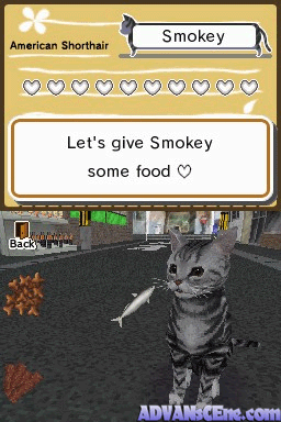 Animal Paradise Wild screenshot 3 for Nintendo DS
